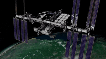 international space station trees GIF by NASA