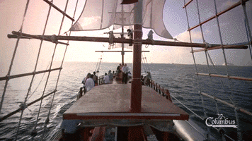 mexico dinner GIF by Dolphin Discovery