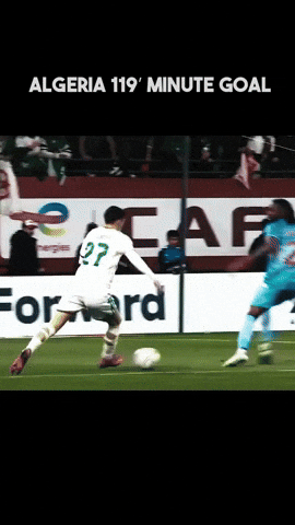 Goal Algeria GIF