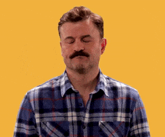 Super Troopers Smh GIF by Searchlight Pictures