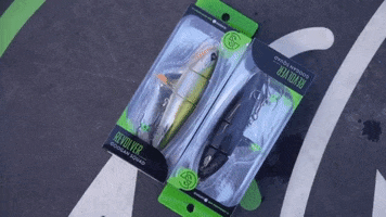Bass Fishing GIF by Karl's Bait & Tackle