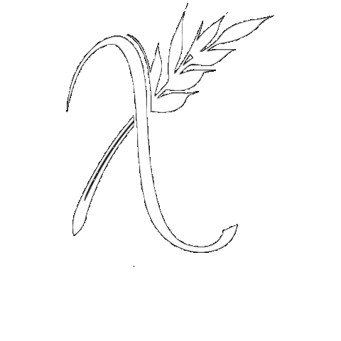 Xelapan Sticker
