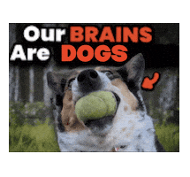 Sticker Dogs Sticker