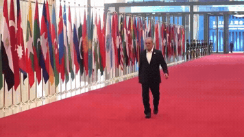 Walking Walk GIF