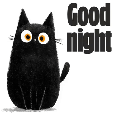 Cat GIF