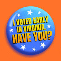 Voting Terry Mcauliffe GIF by INTO ACTION