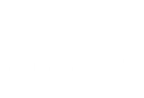 Fast Shipping Sticker