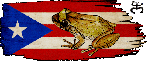 Puerto Rico Flag GIF by LorenzoTheGawd