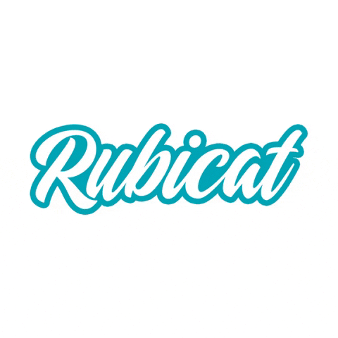 GIF by Rubicat