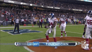 New York Giants Win GIF by NFL