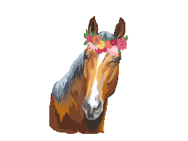 Equitana Sticker