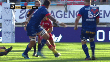 fc grenoble trip GIF by FCG Rugby