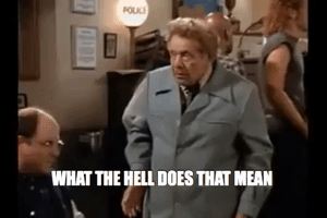 What Does That Mean GIF