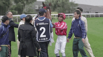 horse kiss love GIF by World Horse Racing