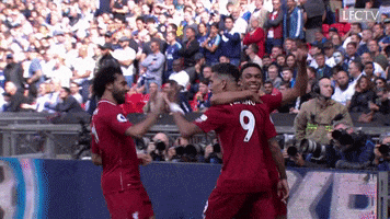 football celebrate GIF by Liverpool FC