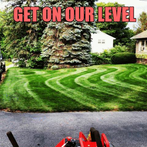 Stripes Gravelystripes GIF