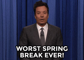 Jimmy Fallon Spring GIF by The Tonight Show Starring Jimmy Fallon