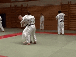 vladimir putin russia GIF