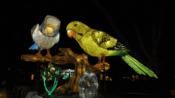 Art Glowing GIF by Woodland Park Zoo
