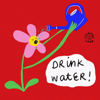 Stay Hydrated Take Care GIF by Susanne Lamb