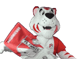 Sibi Sticker by FC Emmen