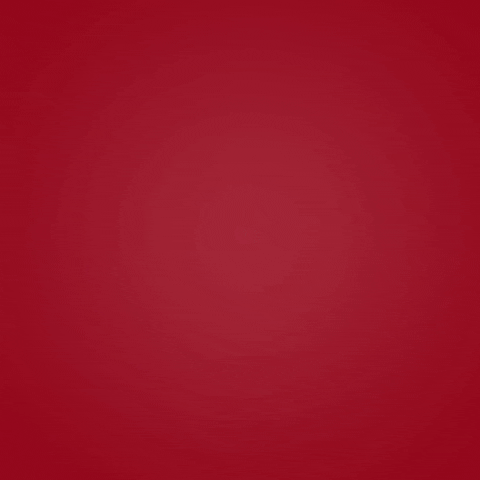 Conquiste Deseje GIF by Diamantes Lingerie