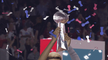 super bowl nfl GIF by Morphin