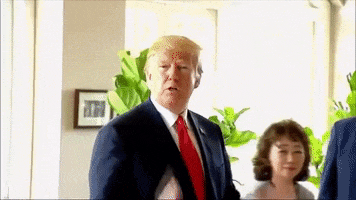 the office trump GIF by See and Feel