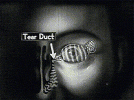 Sad Black And White Gif By Sabato Visconti Find Share On Giphy