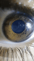 pupil GIF pupil GIF