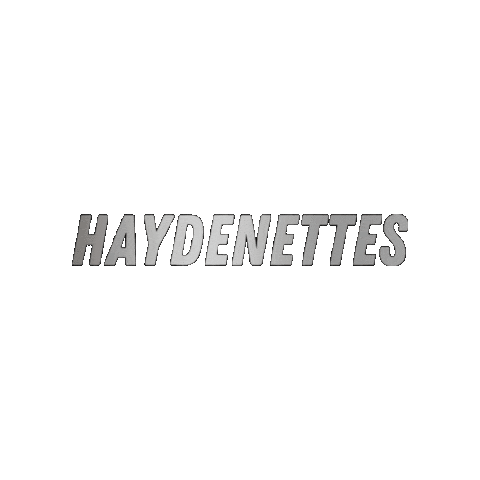 HaydenSynchro Sticker