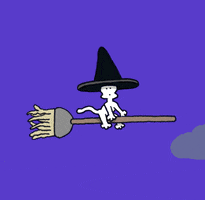Witch Flying GIF by Chippy the Dog