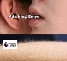 Premier League Epl GIF