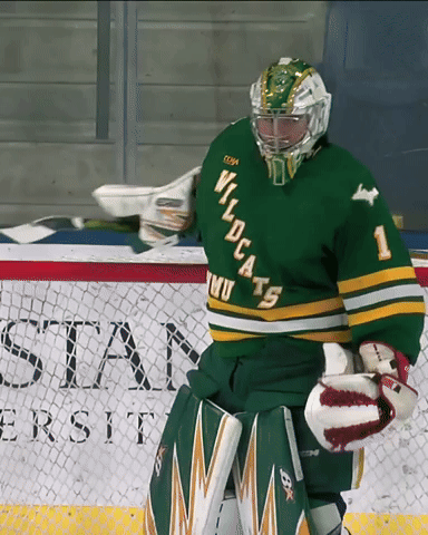 Hockey GIF