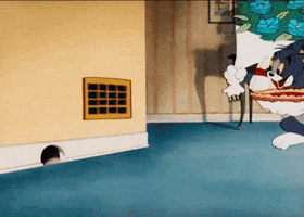 svenhaetscher  GIF