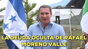 lizgv  GIF