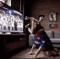 Real Madrid Penalty GIF