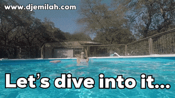 Deep Dive Diving In GIF by Djemilah Birnie
