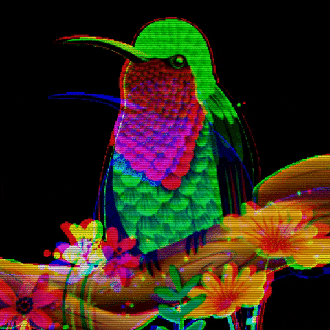 yuemagui flores ilustracion naturaleza colibri GIF