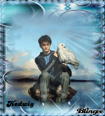 hedwig