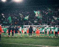 Sturm Graz Fans GIF by SK Rapid