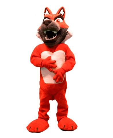 League Of Legends Lol Sticker by Red Canids