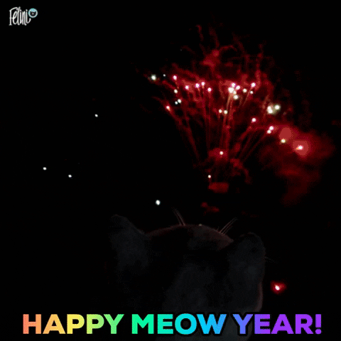 Digital art gif. Adorable, wide-eyed cat watches quietly as fireworks explode in the night sky. Text, “Happy Meow Year!”