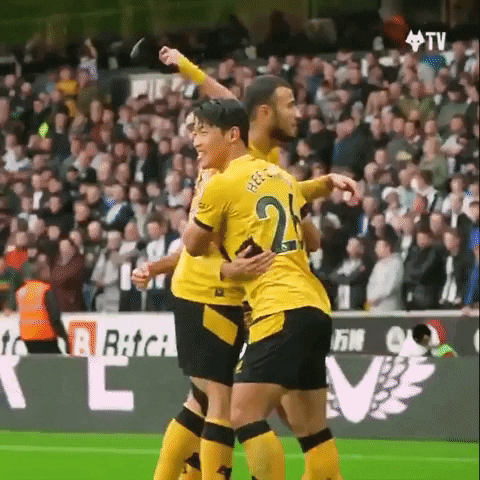 Get In There Come On GIF by Wolves