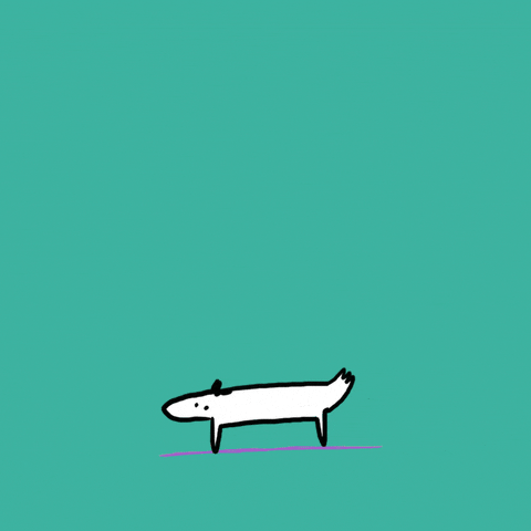 Happy Dog GIF