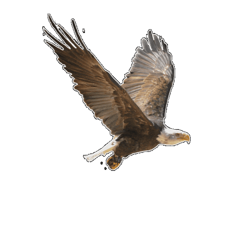 Museumpark Archeon Sticker