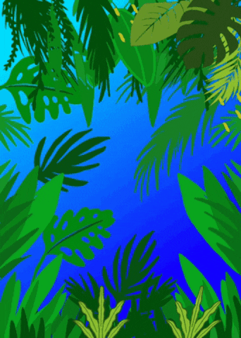 Noche GIF