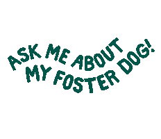 Meredithcantyy Sticker