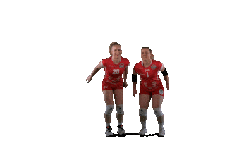 Sport Volleyball Sticker by LP Viesti