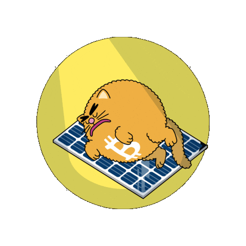 Bitcoin Meme Sticker by herecomesbitcoin